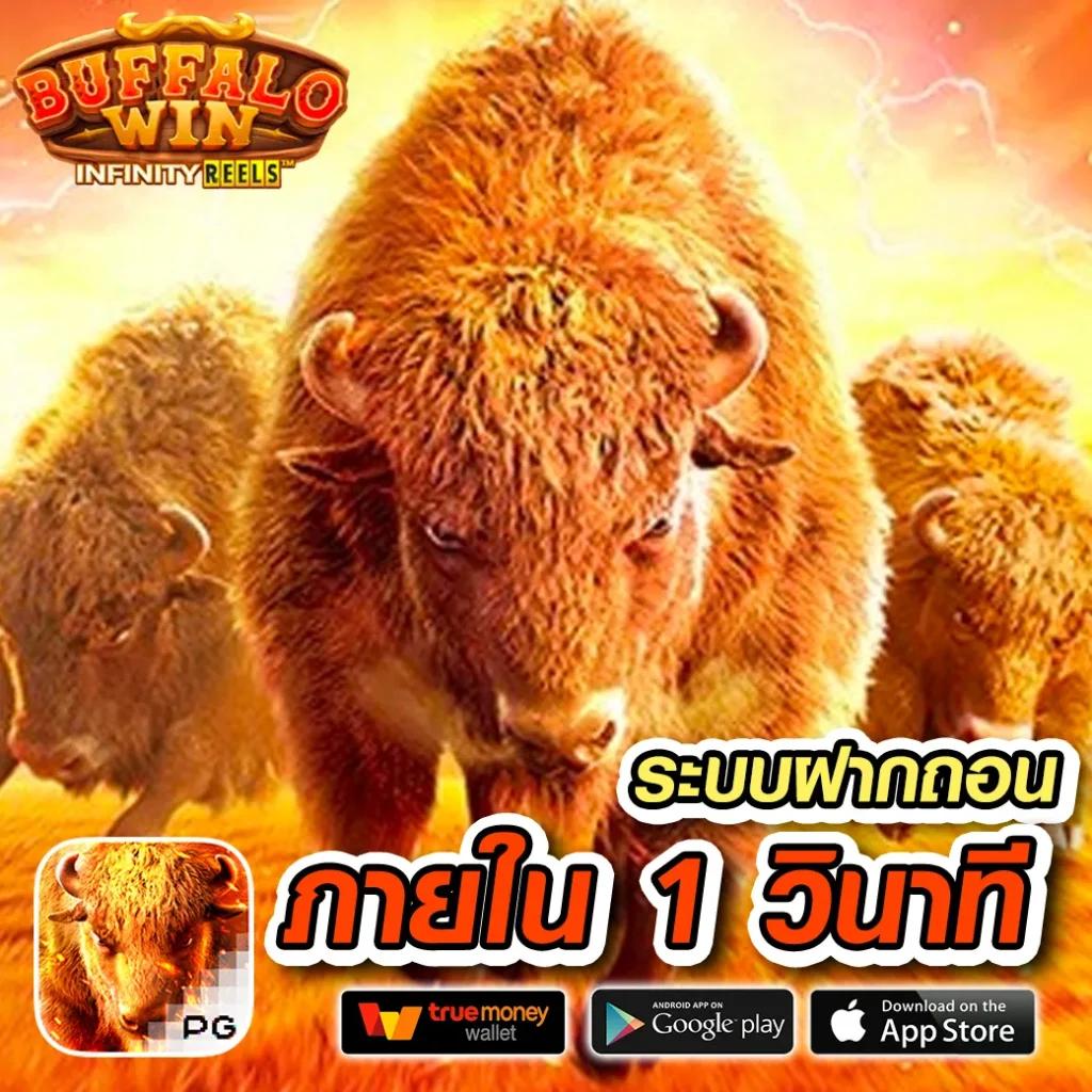 เบ ท ฟิก 99 เว็บเดิมพันคาสิโนออนไลน์มาตรฐานระดับแนวหน้าของไทย